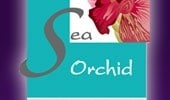 Sea Orchid Pattaya - Logo